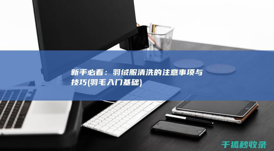 新手必看：羽绒服清洗的注意事项与技巧 (羽毛入门基础)