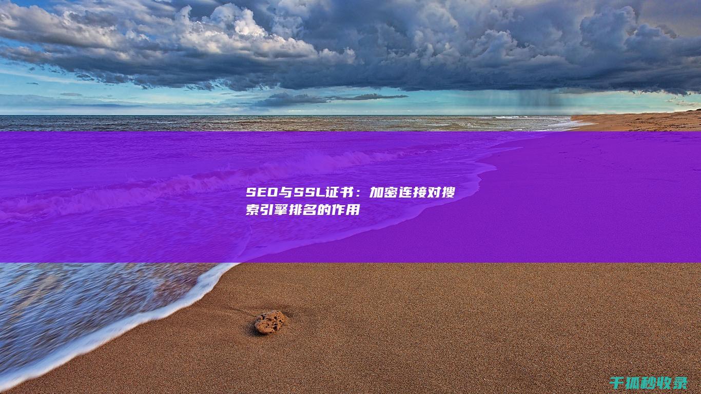 SEO与SSL证书：加密连接对搜索引擎排名的作用