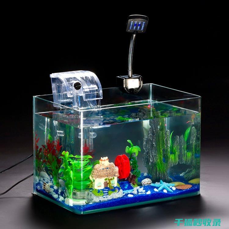 玻璃水族箱内壁清洗技巧，观赏鱼更健康 (玻璃水族箱内部结构图)