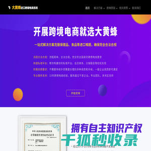 大黄蜂进口跨境电商方案
